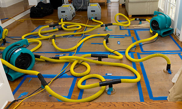 Professional Crawl Space Water Removal technician working in Ionia, MI